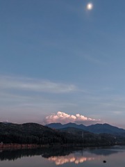 1000055455