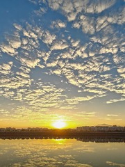 1000061647
