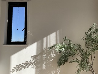 11562D47-A3FC-4BFE-925E-C10C00300F0A/L0/001