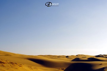 IMGP2395_
