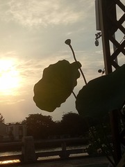 2930322
