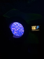 2923026