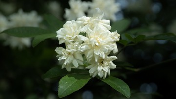 C0FE1672-23FD-4C06-88D8-F77FFAC14DC6/L0/001
