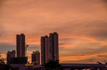 1000025709