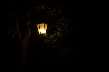 9E8BF604-15FA-4CCB-B164-3001D7207E42/L0/001