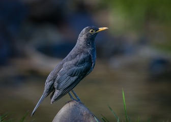 128561