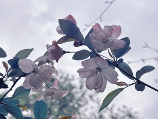4728AFDB-36D3-45F1-A916-409A6B28DD86/L0/001