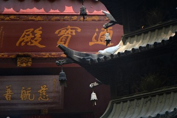 3C544D7E-037B-4B67-BCB7-C80609C4E432/L0/001
