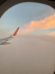 E37253B9-50B7-46F7-B4CC-70EBB5F3237C/L0/001