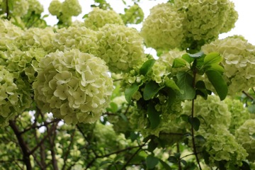 B1138C8B-0B97-4941-96E7-831DC6E04BE3/L0/001
