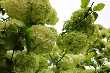 BFAAD487-88A7-404D-9624-8381FE841877/L0/001