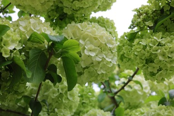 6B11FFFA-A411-4B66-9D9C-FE5787E9E7E4/L0/001