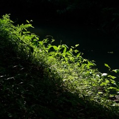 001