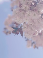 97E0EFAC-7DF6-4D60-984B-B9F06B3EC9C4/L0/001