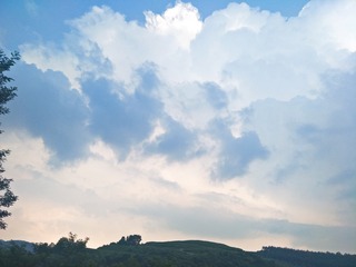 429