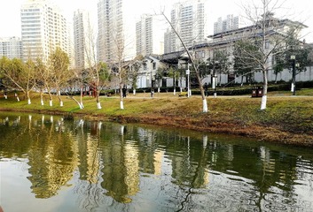 IMG_20230215_181331