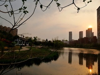 IMG_20230316_185101