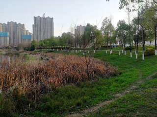 IMG_20230305_175153
