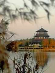 IMG_20230128_174312