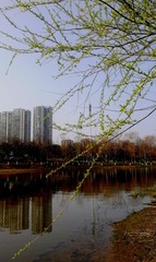 IMG_20230304_172023