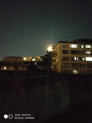 415021