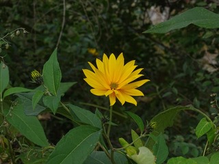 C35495C3-4D39-4A12-96DB-546639C24E94/L0/001