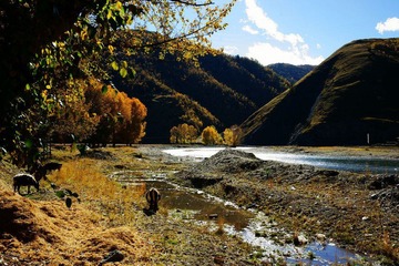 DSC07951.jpg