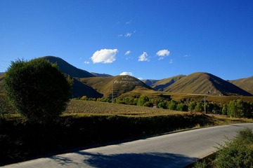 DSC07976.jpg