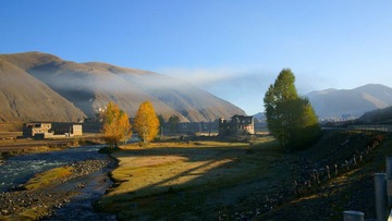 DSC08631.jpg
