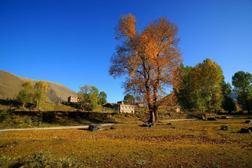DSC08674.jpg