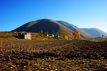 DSC08683.jpg