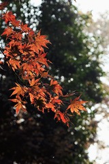 46A5F20E-7FB3-4ED9-B59C-4DF5C7292760/L0/001