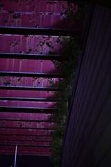 162202