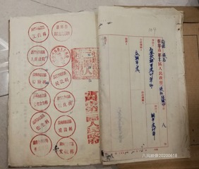 1000047307