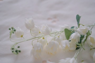 17B08C17-E943-45A9-909A-529E7CB22731/L0/001