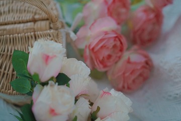 78F58A8E-A10B-4D80-B576-D3024AC9DB22/L0/001