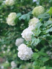 D7618F37-42FD-4B30-A657-076242930C1C/L0/001