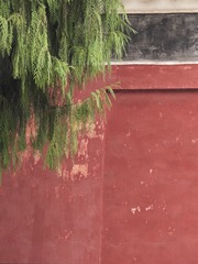 1000208597