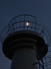 1000014269