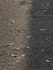 1000014404