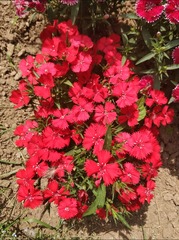2010579