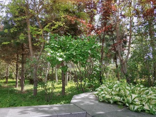2010203