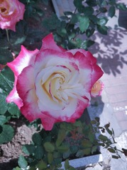 2010559