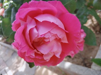 2010570