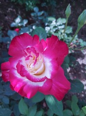 2010566
