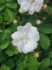 2010422