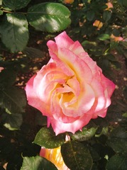 2010560