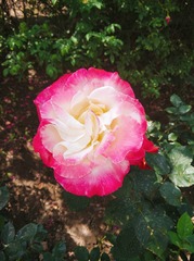 2010565