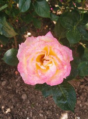 2010563