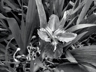 2010282